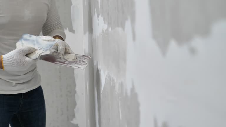 Best Touch-Up Painting  in USA